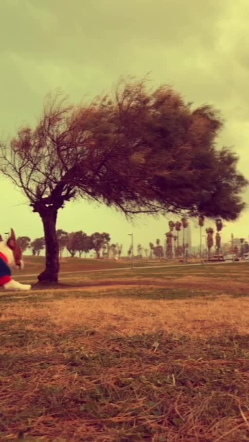 Against the Wind, a moving-image artwork by Eran Yerushalmi (CHIEF)