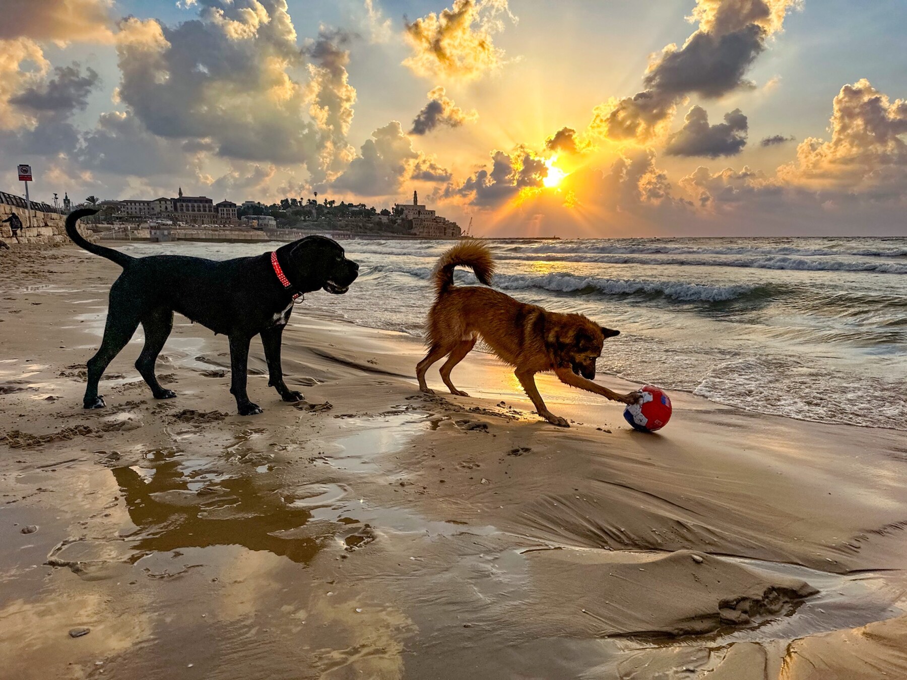 The Game Before Sunset — full-frame 2024 fine art photograph by Eran Yerushalmi CHIEF