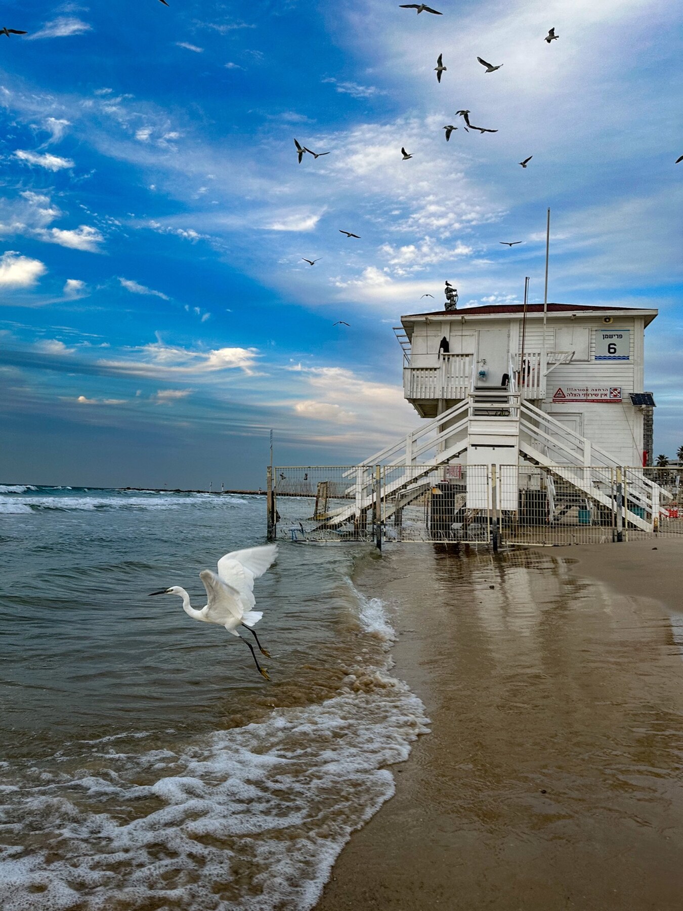 The Last Lifeguard — full-frame 2024 fine art photograph by Eran Yerushalmi CHIEF