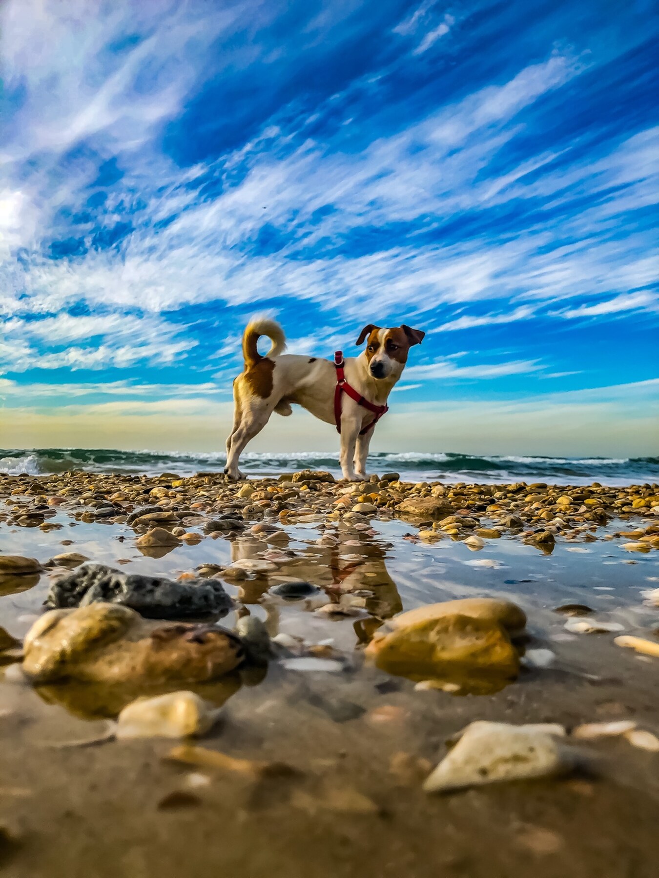 Small King, Big Sky — full-frame 2024 fine art photograph by Eran Yerushalmi CHIEF