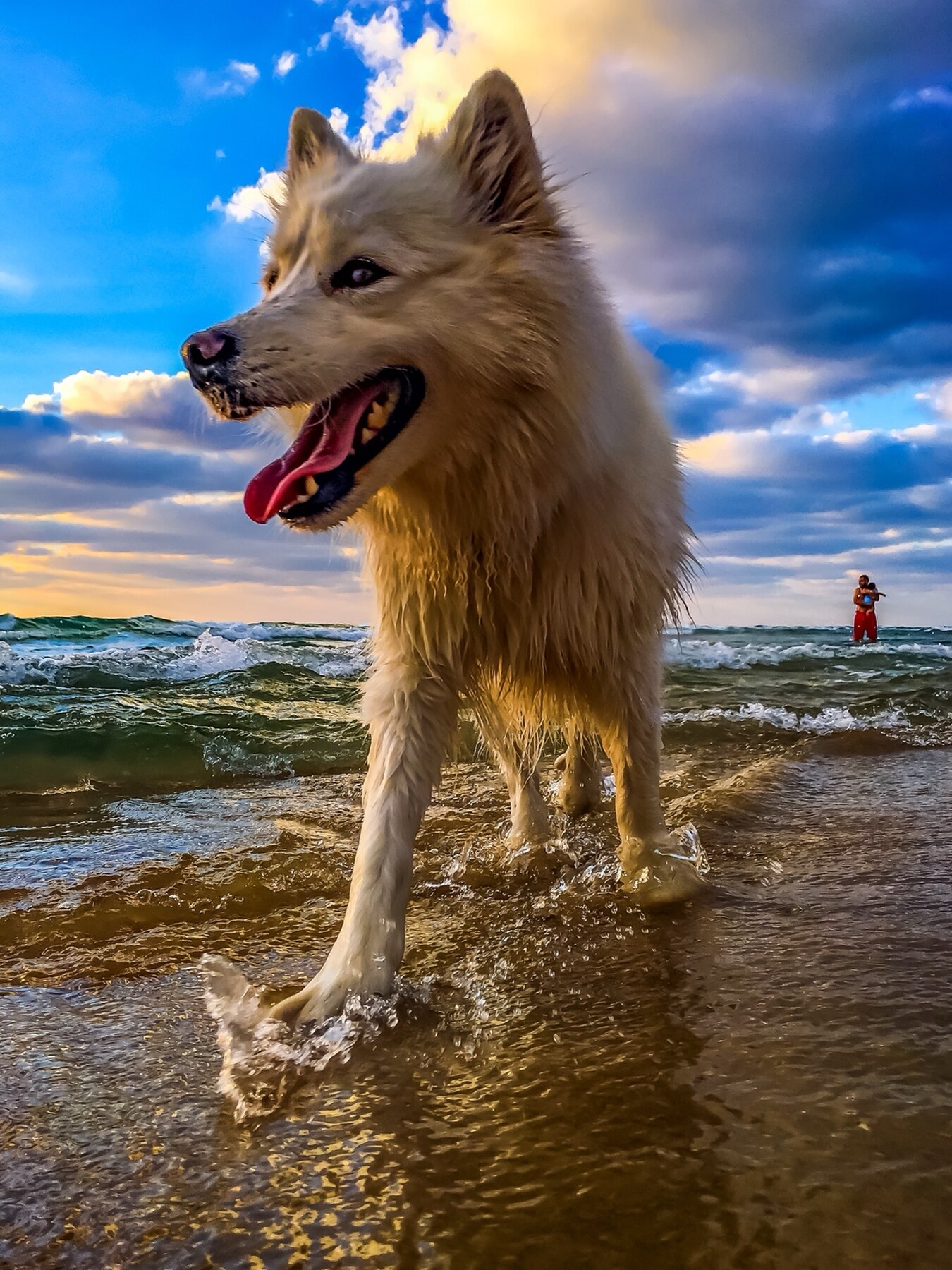 Born of the Tide — full-frame 2024 fine art photograph by Eran Yerushalmi CHIEF