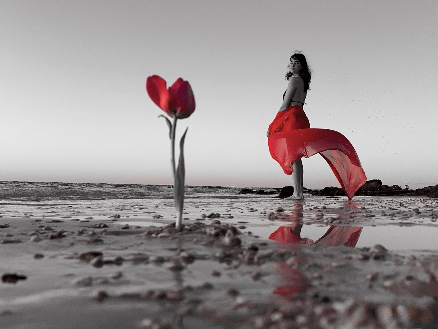 Premium 23 — Premium Limited Edition Photography by CHIEF
