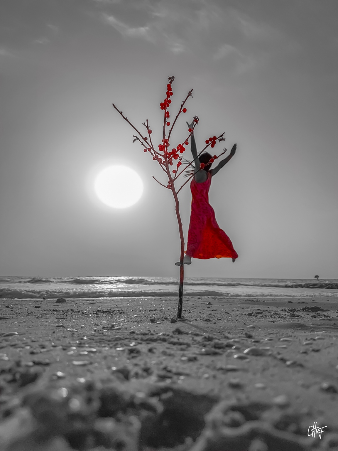 Learning to Grow — Premium Limited Edition Photography by CHIEF