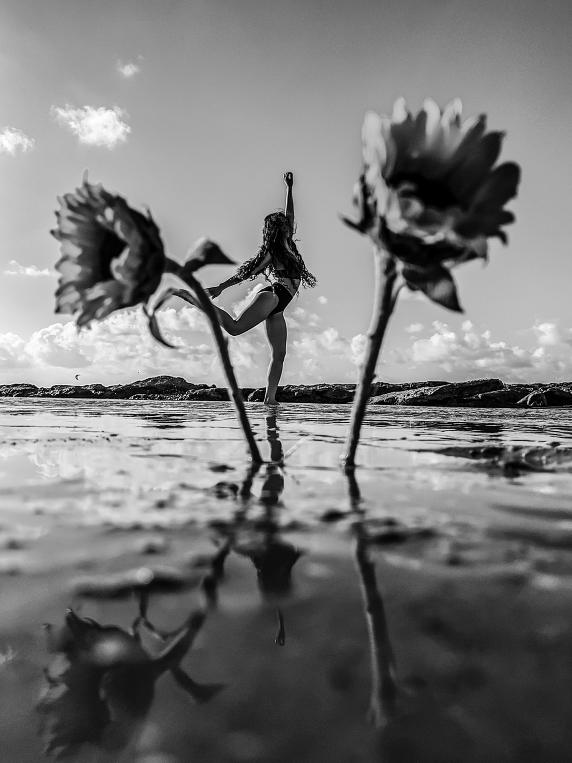 Premium 25 — Premium Limited Edition Photography by CHIEF