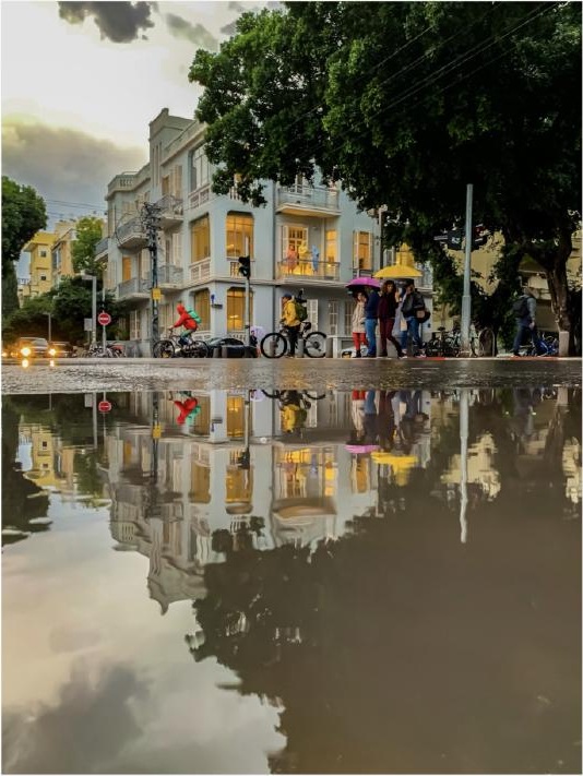 After the Rain — Super Premium Fine Art Photography by CHIEF