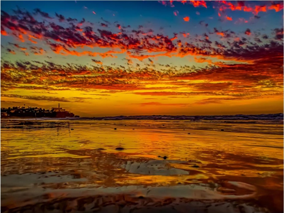 Liquid Gold — Art Edition — Photography for the Home by CHIEF