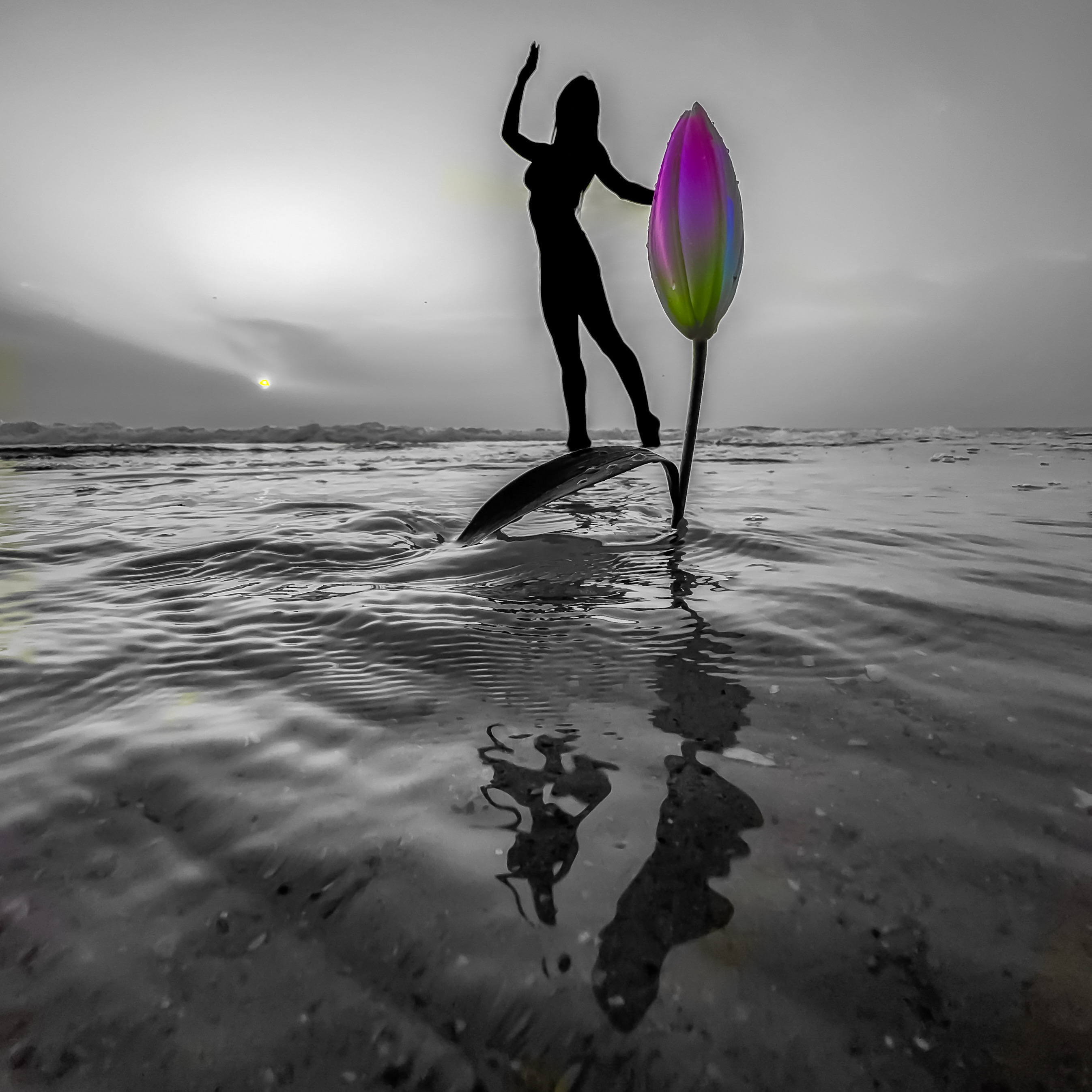 Blooming Dance — Square Photographic Wall Art by CHIEF