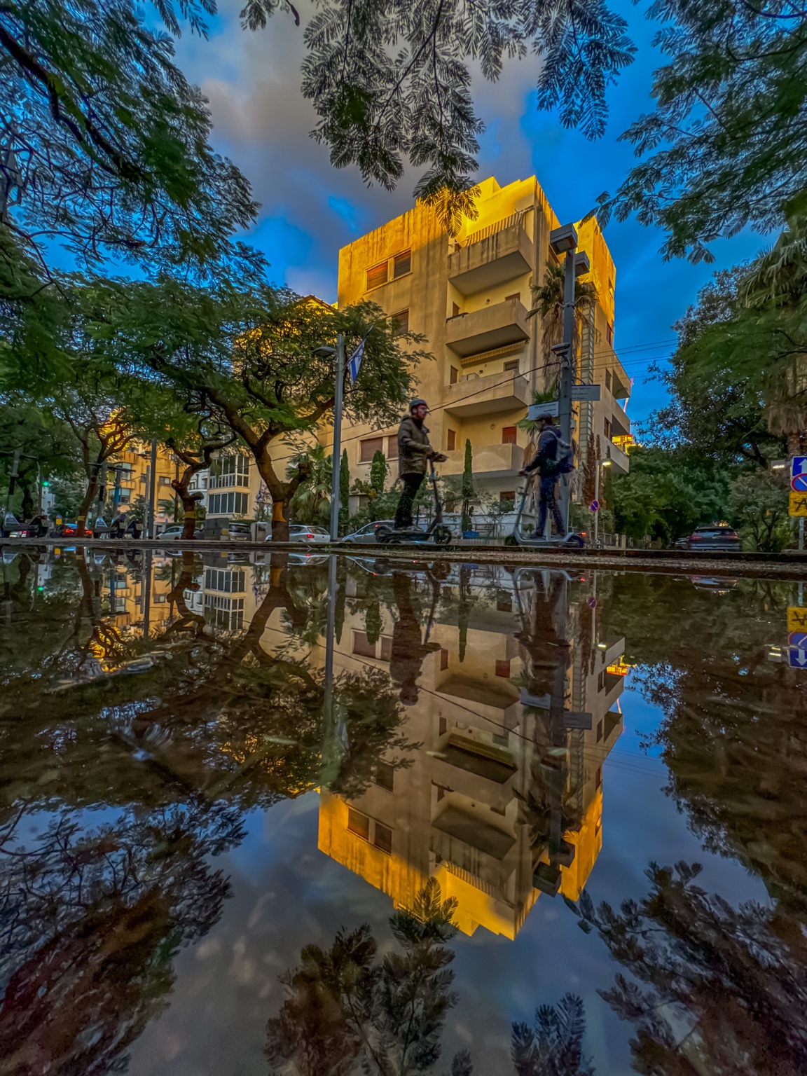 Strangers Above, Twins Below — fine art photography by Eran Yerushalmi, CHIEF