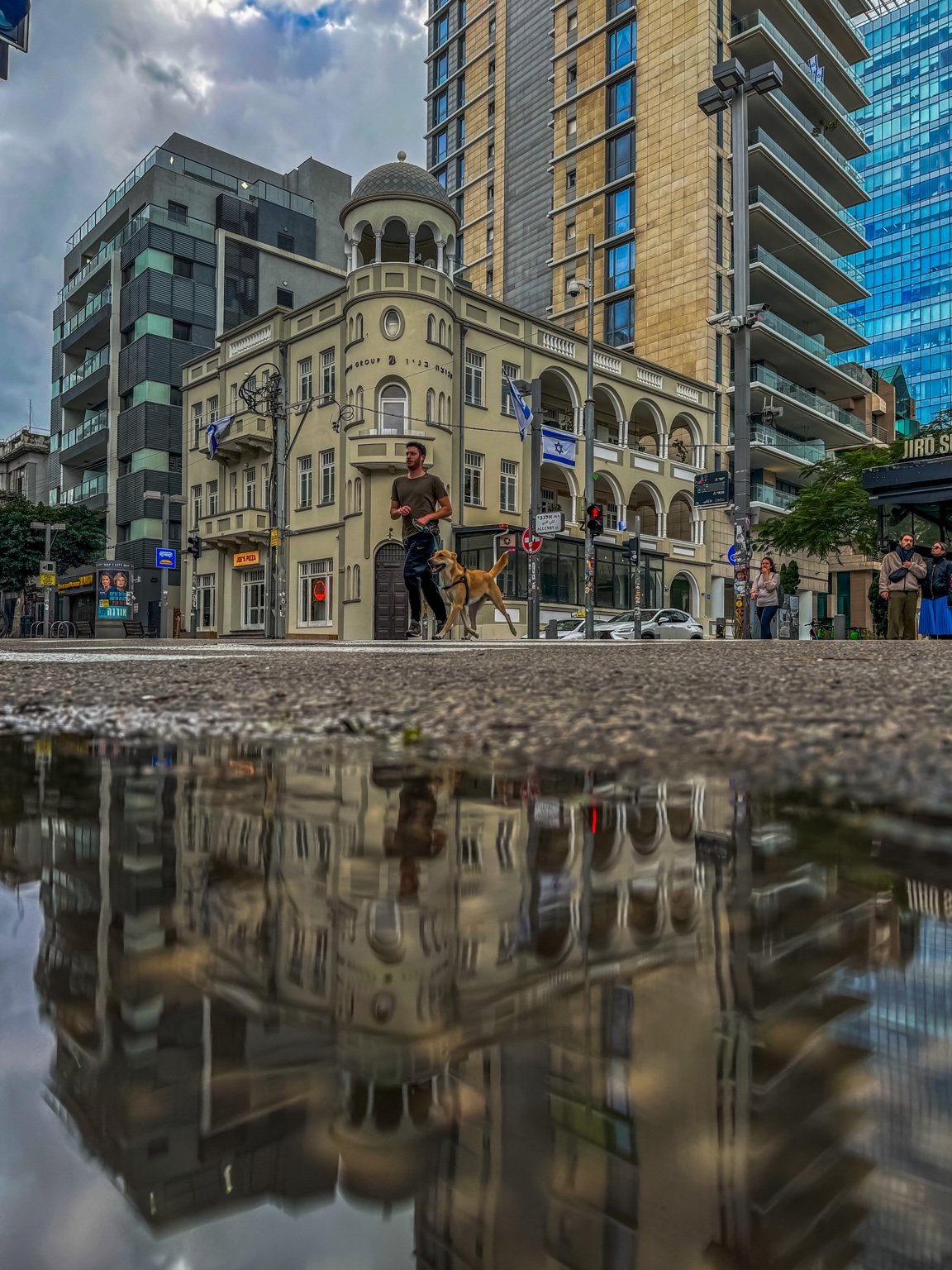 The Dog Knows the Way — fine art photography by Eran Yerushalmi, CHIEF