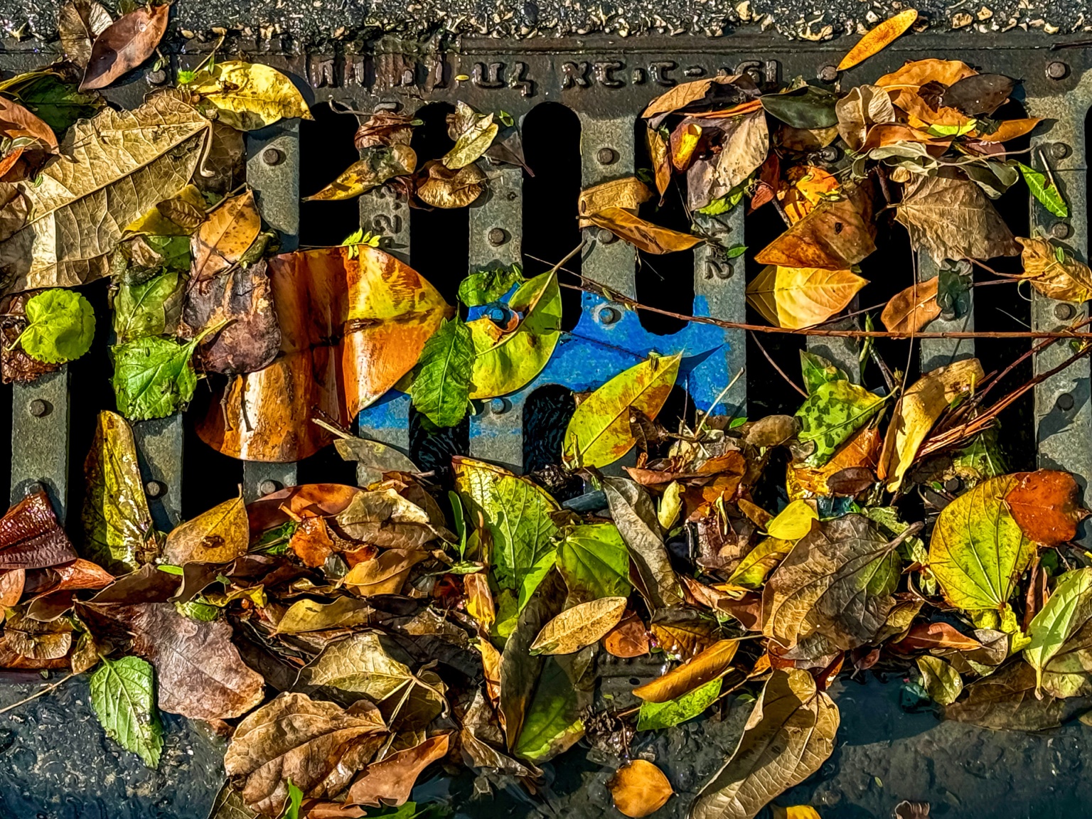 The Last Stop of Autumn — fine art photography by Eran Yerushalmi, CHIEF