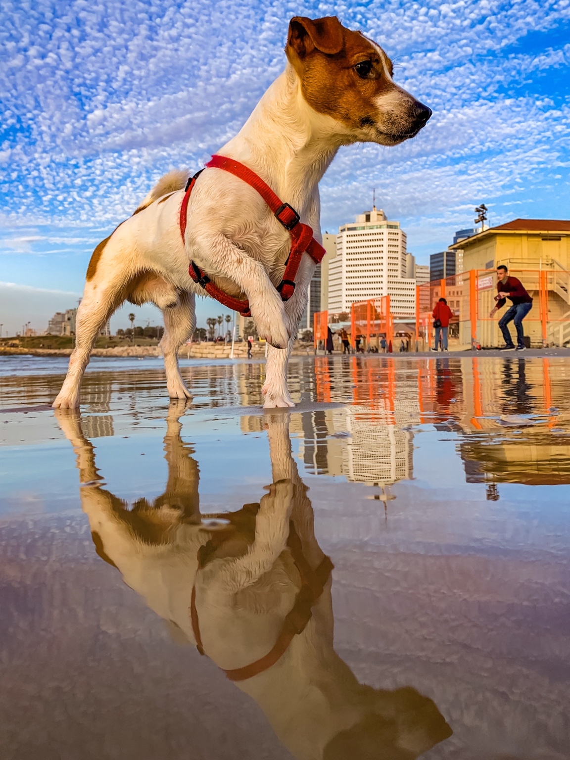 The Mayor of the Beach — fine art photography by Eran Yerushalmi, CHIEF