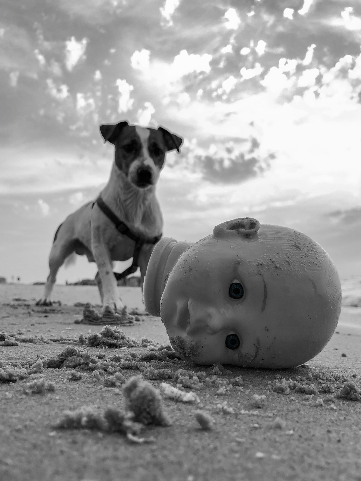 The Only Witness — fine art photography by Eran Yerushalmi, CHIEF
