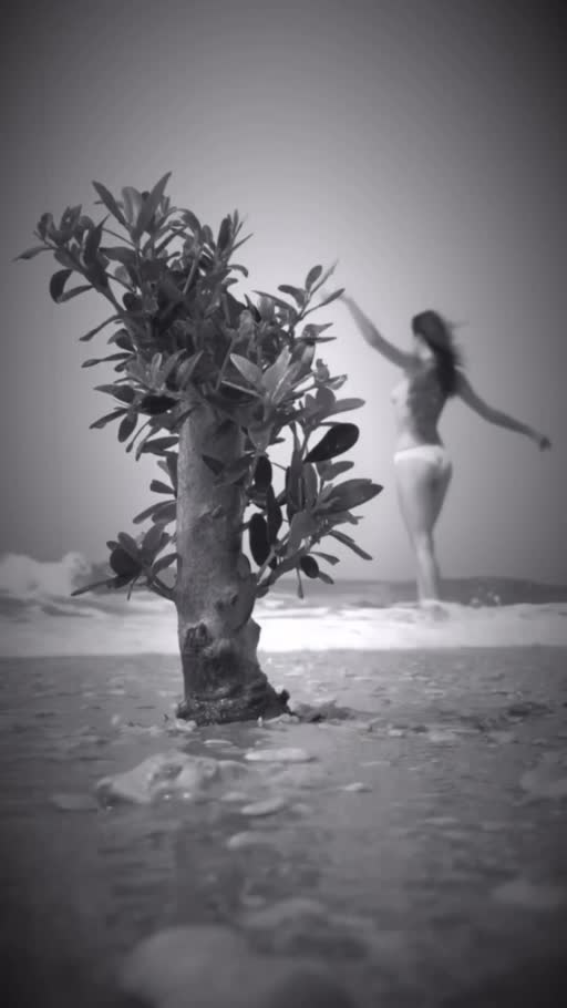 The Tree Remembers Her, a moving-image artwork by Eran Yerushalmi (CHIEF)