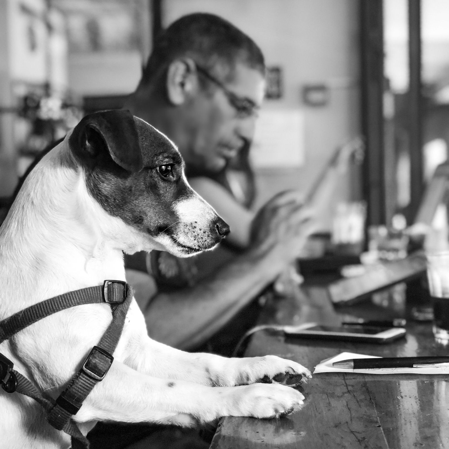Coffee, Please — תמונה לסלון וצילום אמנותי ישראלי מאת ערן ירושלמי