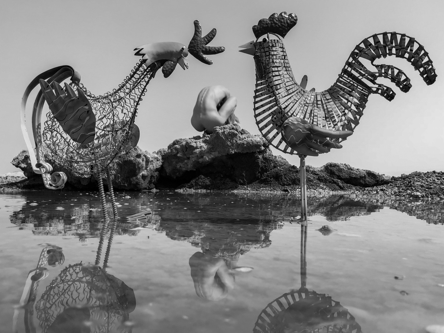 Which Came First? — תמונה לסלון וצילום אמנותי ישראלי מאת ערן ירושלמי