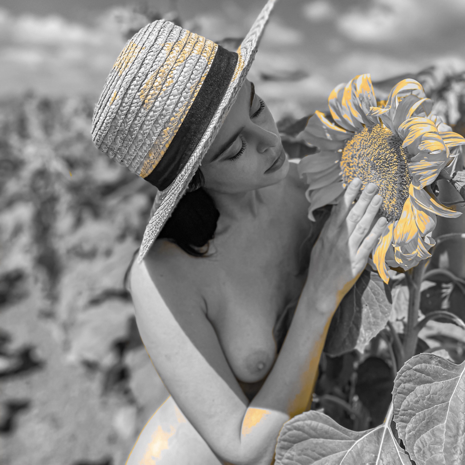 She Spoke in Sunflowers — תמונה לסלון וצילום אמנותי ישראלי מאת ערן ירושלמי