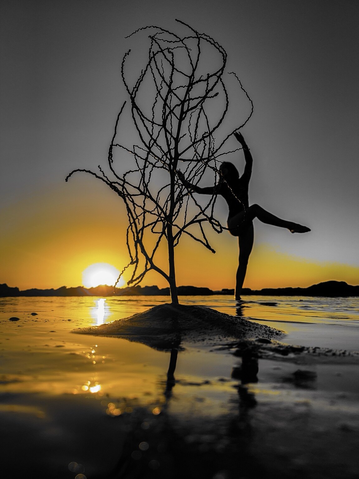 Branches in Motion — יצירת צילום אמנותי מאת ערן ירושלמי, ערן צ׳יף (CHIEF)