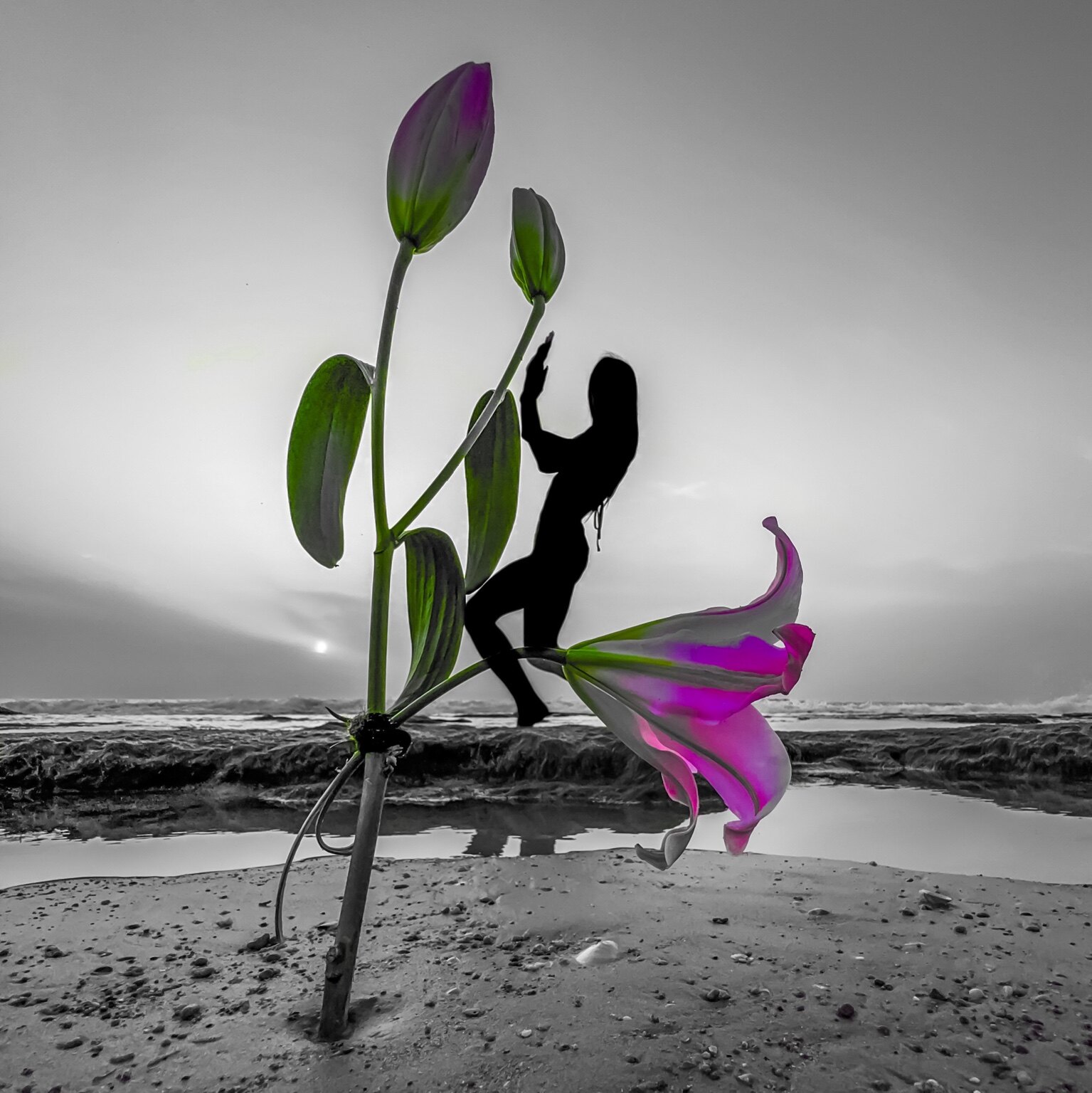 Pas de Fleur — יצירת צילום אמנותי מאת ערן ירושלמי, ערן צ׳יף (CHIEF)
