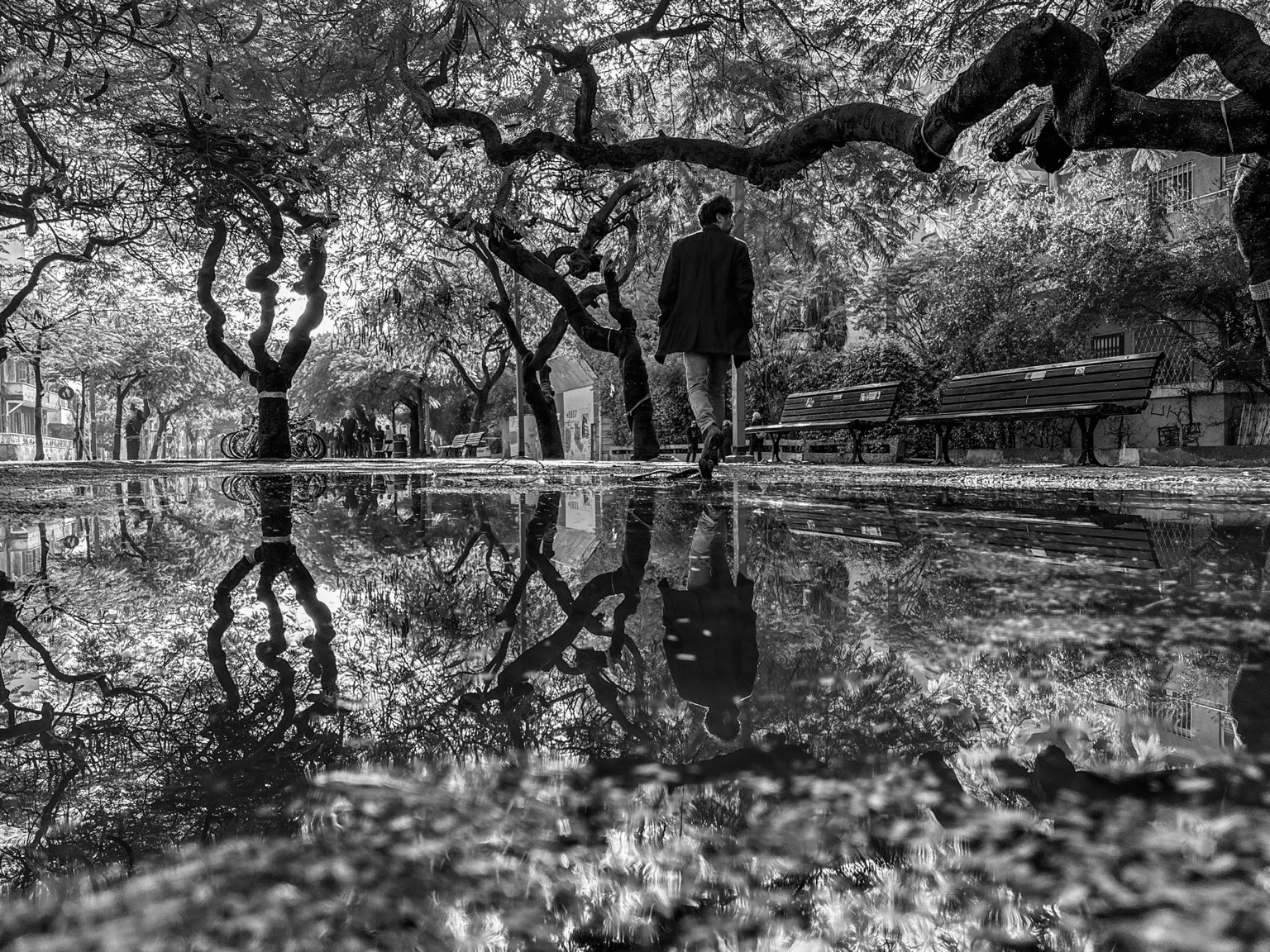The Reflection Went First — יצירת צילום אמנותי מאת ערן ירושלמי, ערן צ׳יף (CHIEF)